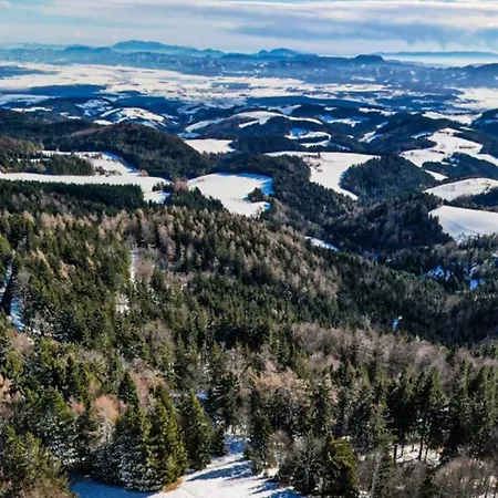 Forest House Evi Horská chata *
